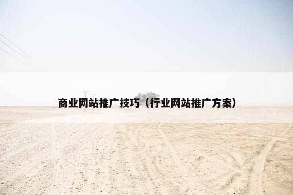 商业网站推广技巧（行业网站推广方案）