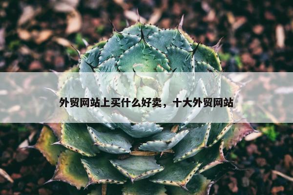 外贸网站上买什么好卖，十大外贸网站
