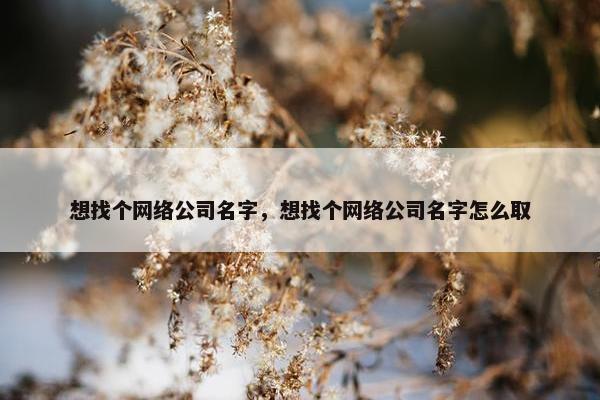 想找个网络公司名字，想找个网络公司名字怎么取
