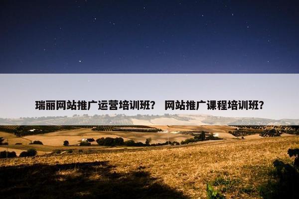 瑞丽网站推广运营培训班？ 网站推广课程培训班？