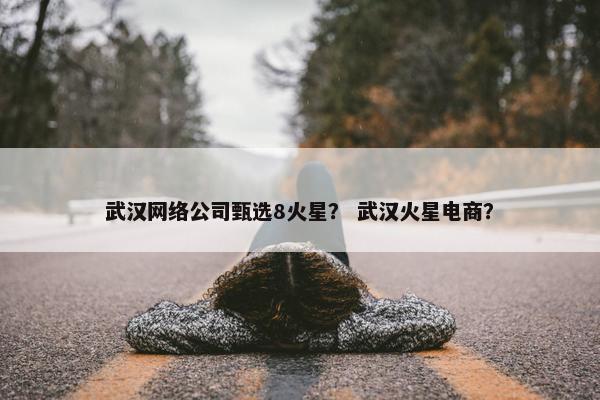武汉网络公司甄选8火星？ 武汉火星电商？
