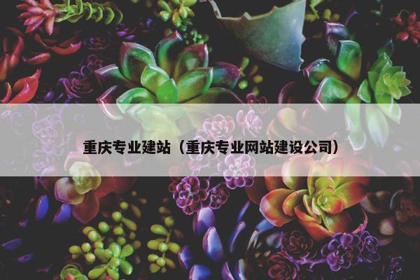 重庆专业建站（重庆专业网站建设公司）