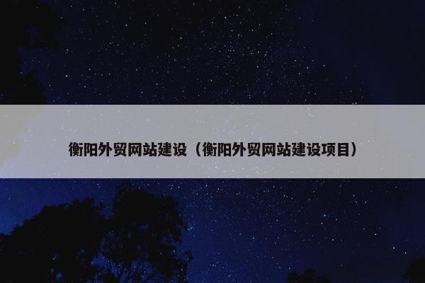 衡阳外贸网站建设（衡阳外贸网站建设项目）