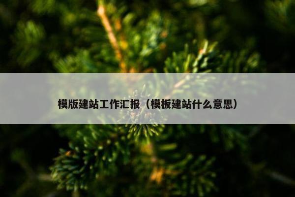 模版建站工作汇报（模板建站什么意思）