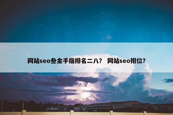 网站seo叁金手指排名二八？ 网站seo排位？