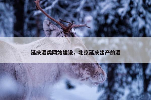 延庆酒类网站建设，北京延庆出产的酒