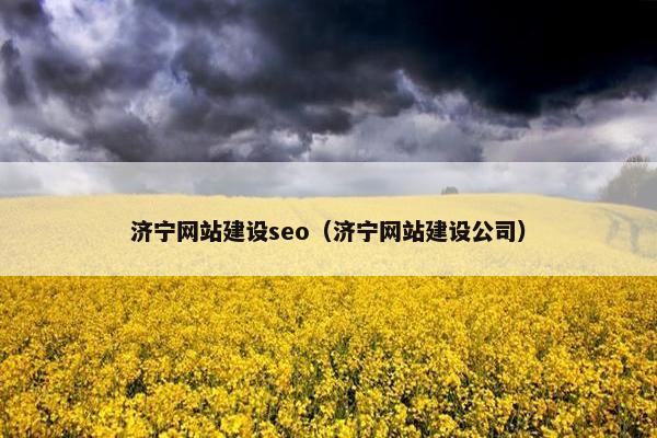 济宁网站建设seo（济宁网站建设公司）