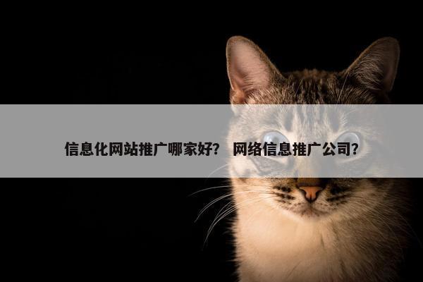 信息化网站推广哪家好？ 网络信息推广公司？