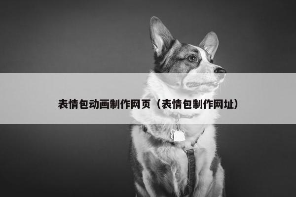 表情包动画制作网页（表情包制作网址）