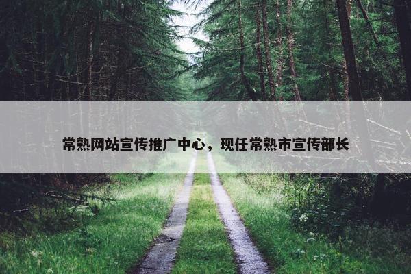 常熟网站宣传推广中心，现任常熟市宣传部长