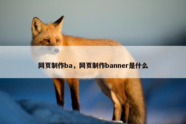 网页制作ba，网页制作banner是什么