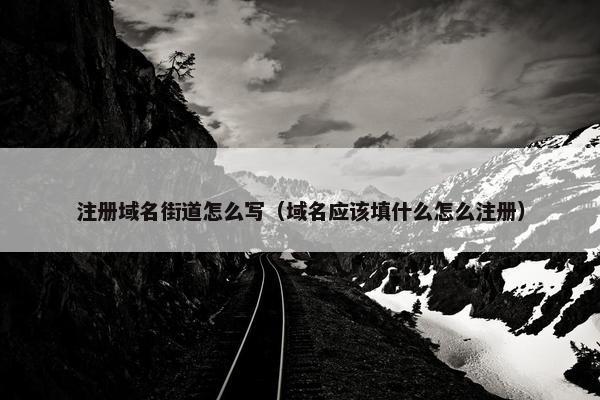 注册域名街道怎么写（域名应该填什么怎么注册）