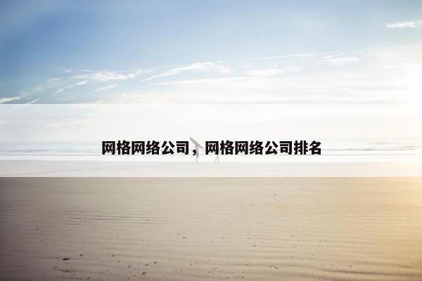 网格网络公司，网格网络公司排名