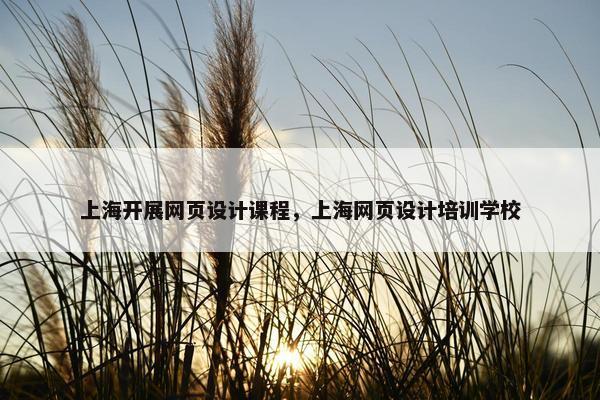 上海开展网页设计课程，上海网页设计培训学校