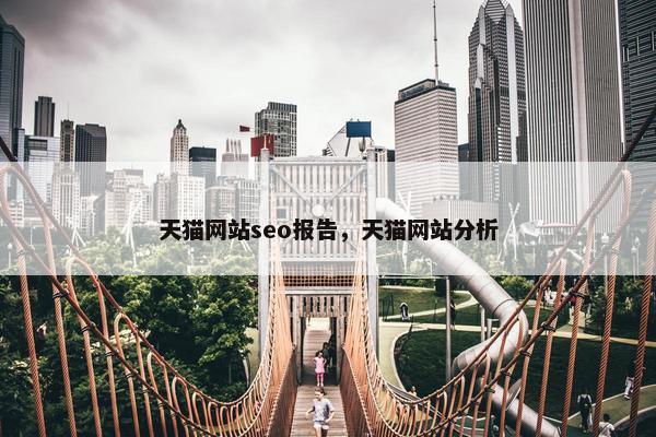 天猫网站seo报告，天猫网站分析