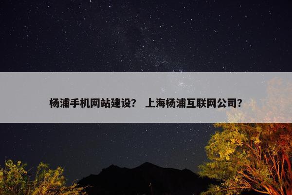杨浦手机网站建设？ 上海杨浦互联网公司？