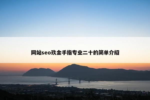 网站seo玖金手指专业二十的简单介绍
