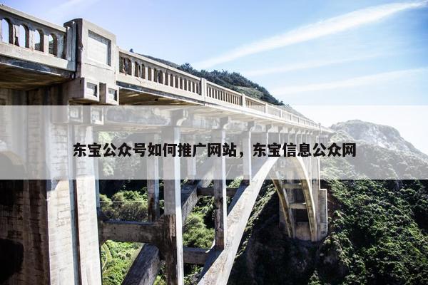 东宝公众号如何推广网站，东宝信息公众网
