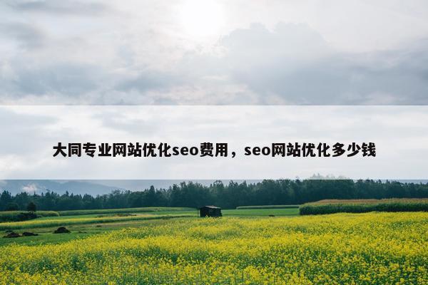 大同专业网站优化seo费用，seo网站优化多少钱