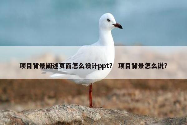 项目背景阐述页面怎么设计ppt？ 项目背景怎么说？