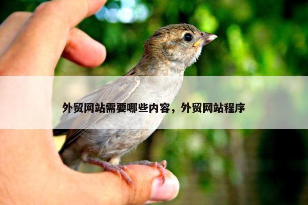 外贸网站需要哪些内容，外贸网站程序