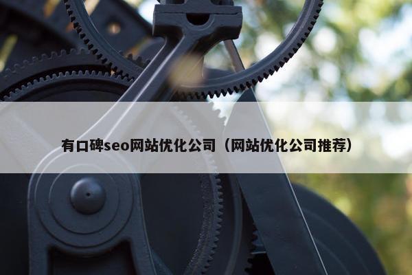 有口碑seo网站优化公司（网站优化公司推荐）