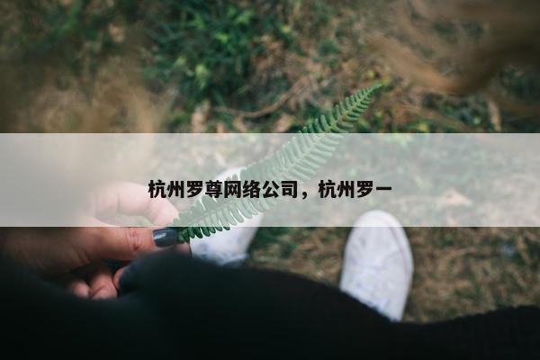 杭州罗尊网络公司，杭州罗一