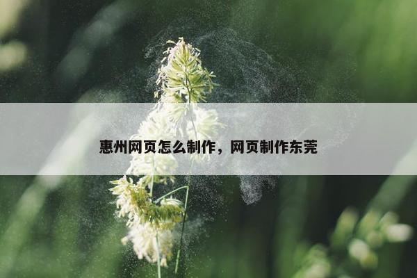 惠州网页怎么制作，网页制作东莞