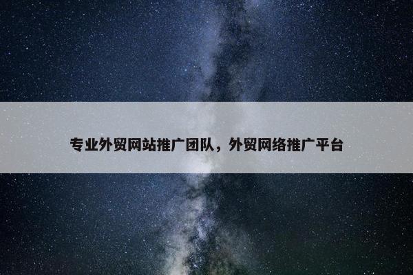专业外贸网站推广团队，外贸网络推广平台
