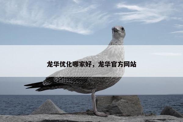 龙华优化哪家好，龙华官方网站