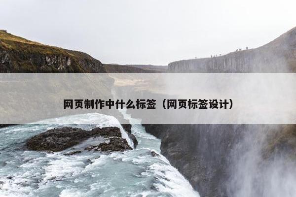 网页制作中什么标签（网页标签设计）