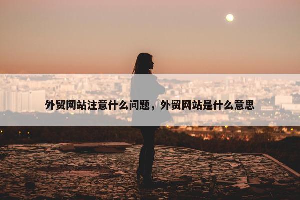 外贸网站注意什么问题，外贸网站是什么意思