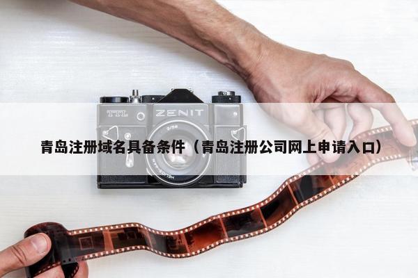 青岛注册域名具备条件（青岛注册公司网上申请入口）