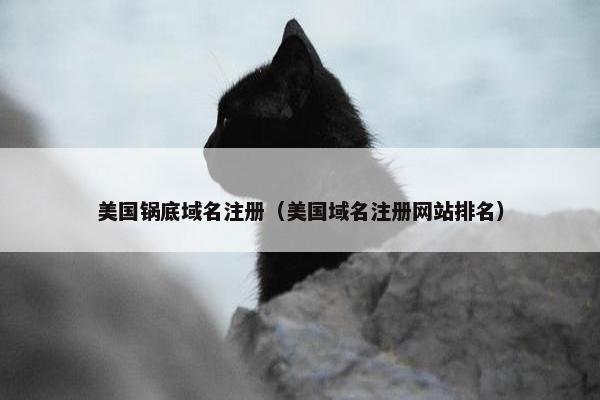 美国锅底域名注册（美国域名注册网站排名）