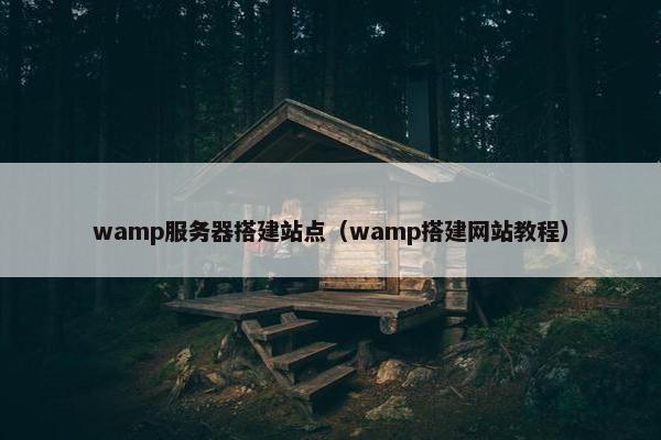 wamp服务器搭建站点（wamp搭建网站教程）