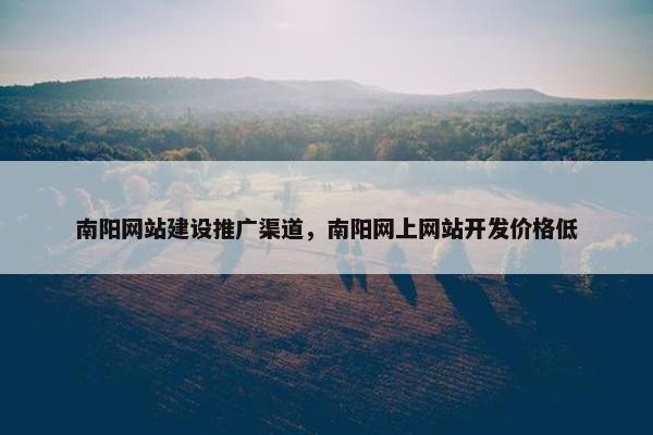 南阳网站建设推广渠道，南阳网上网站开发价格低