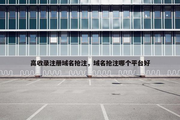 高收录注册域名抢注，域名抢注哪个平台好