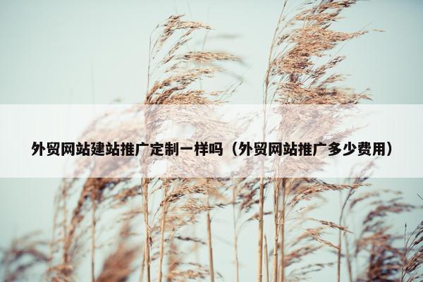 外贸网站建站推广定制一样吗（外贸网站推广多少费用）