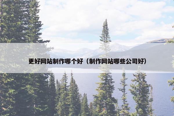 更好网站制作哪个好（制作网站哪些公司好）