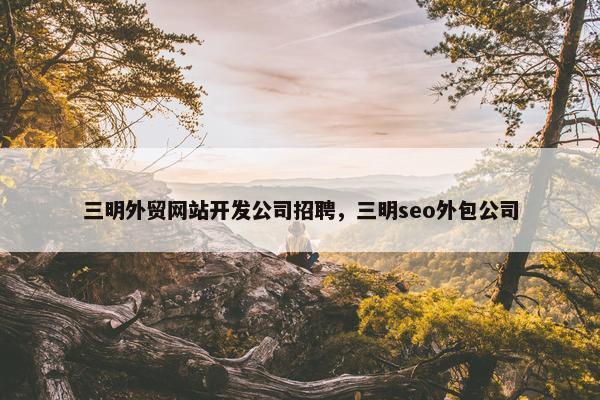 三明外贸网站开发公司招聘，三明seo外包公司