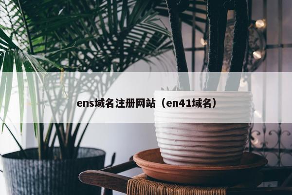 ens域名注册网站（en41域名）
