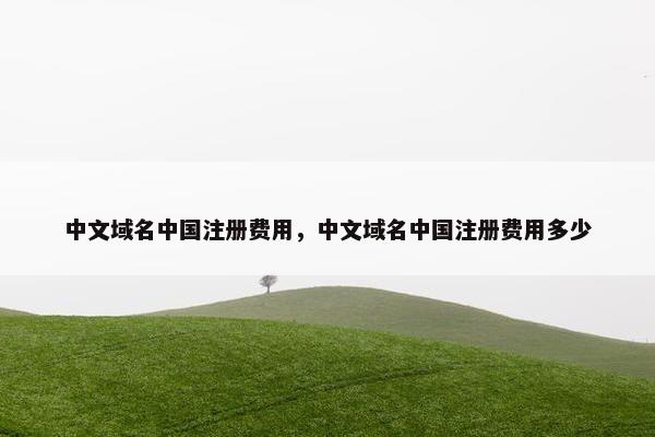中文域名中国注册费用，中文域名中国注册费用多少