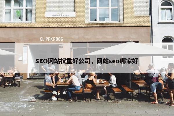 SEO网站权重好公司，网站seo哪家好