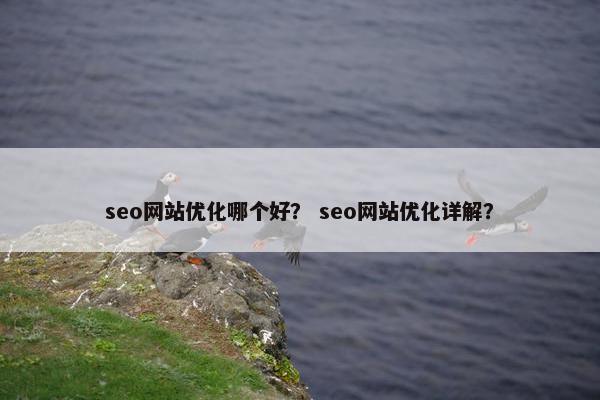 seo网站优化哪个好？ seo网站优化详解？