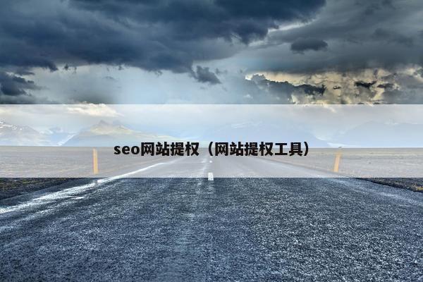 seo网站提权（网站提权工具）