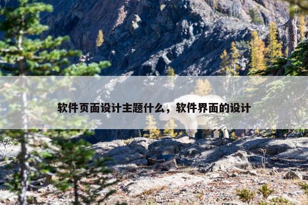 软件页面设计主题什么，软件界面的设计