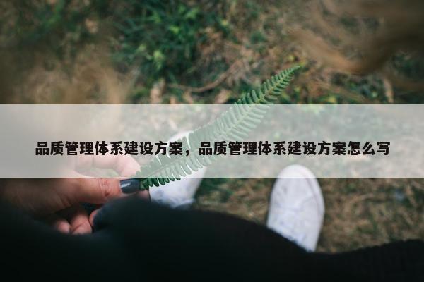 品质管理体系建设方案，品质管理体系建设方案怎么写
