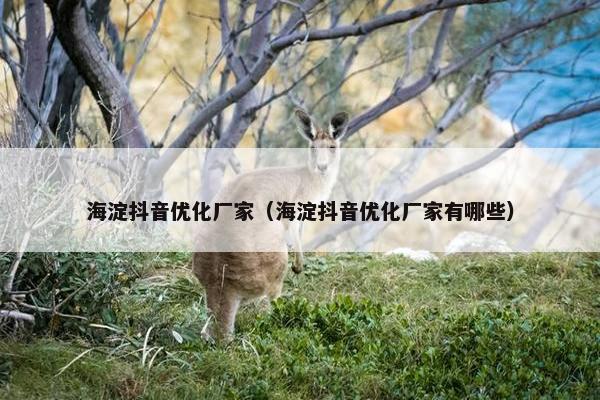 海淀抖音优化厂家（海淀抖音优化厂家有哪些）