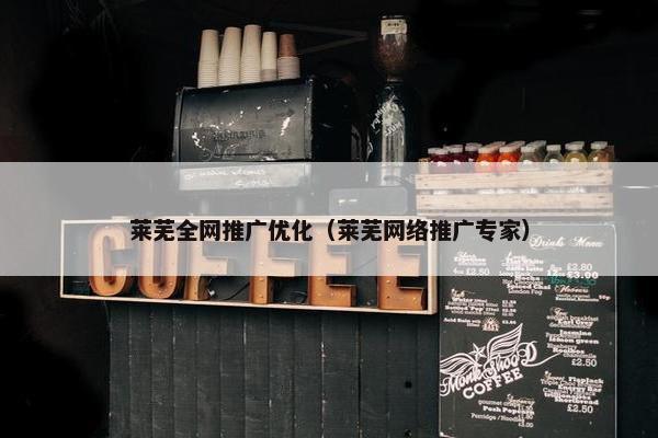莱芜全网推广优化（莱芜网络推广专家）