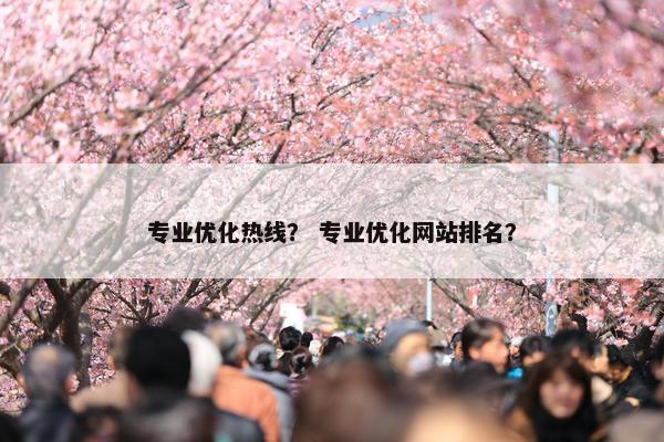 专业优化热线？ 专业优化网站排名？